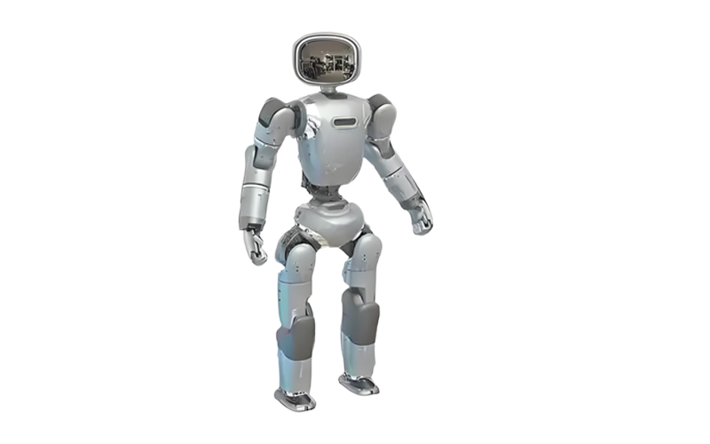 Humanoid Robot Lubrication